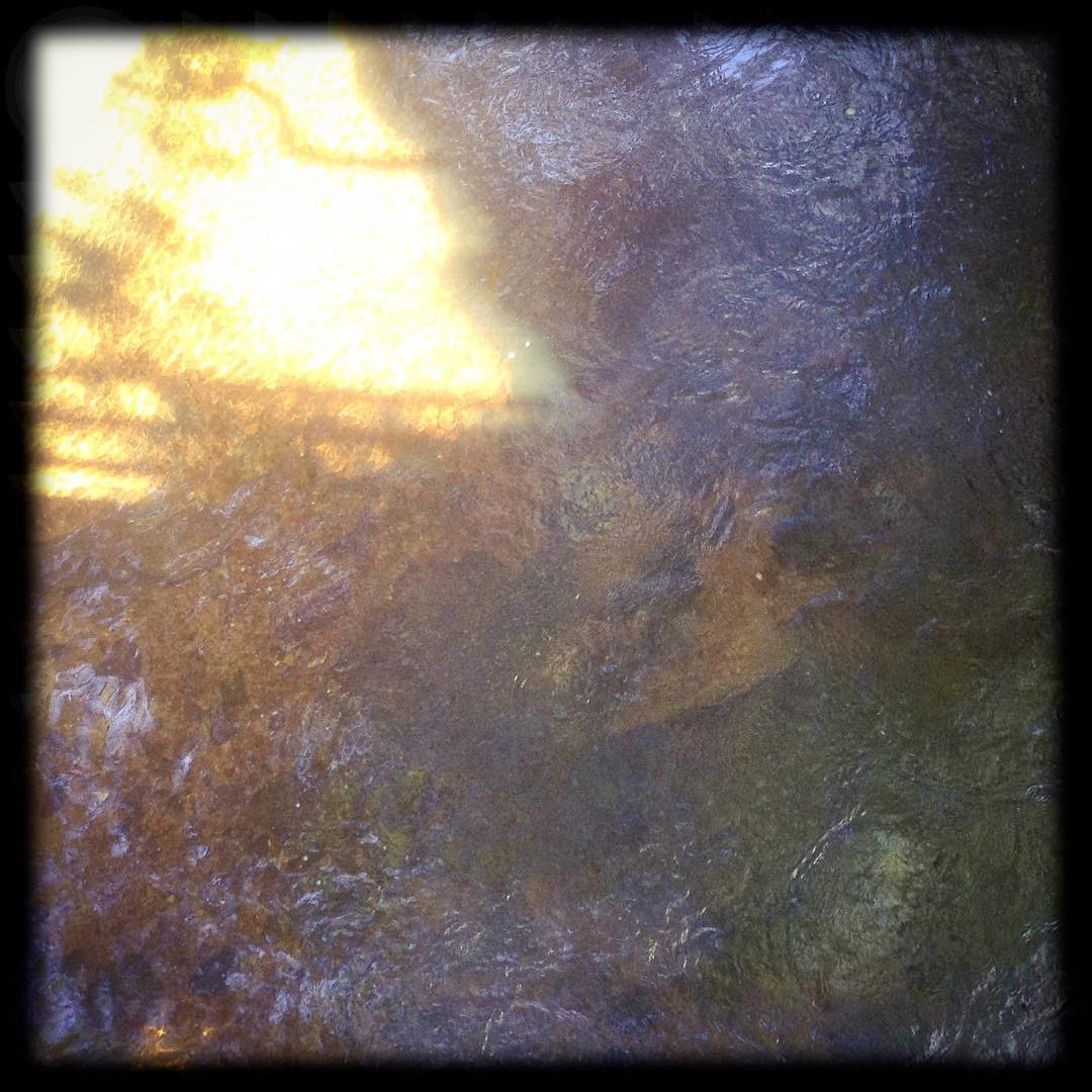 Five miles of Kirknewton 4