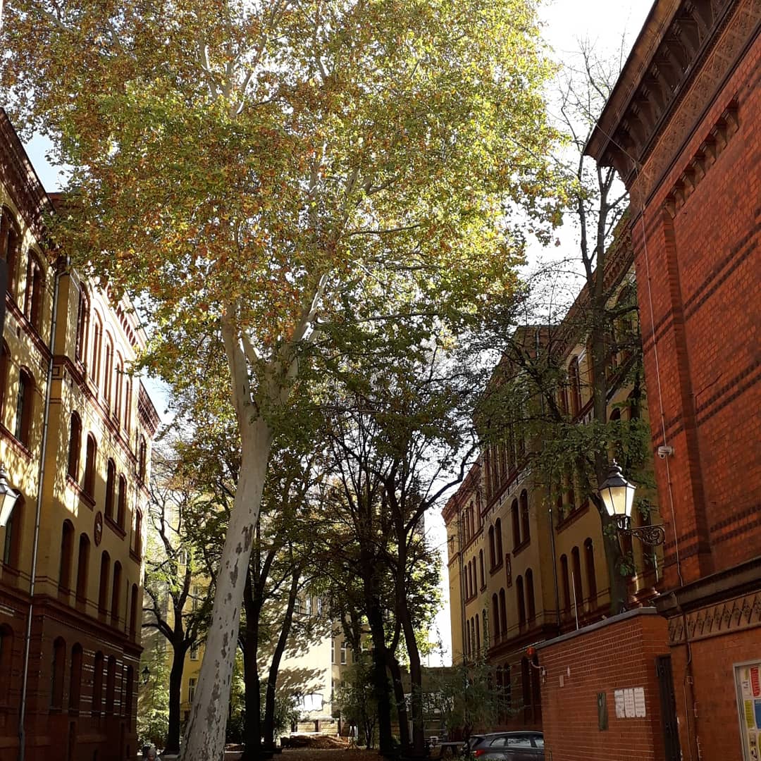 IMG_20191031_171008_714